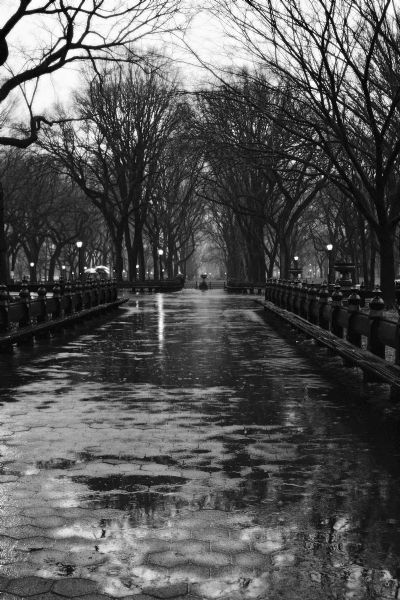 Central Park Rain