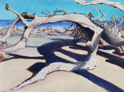 Driftwood Beach Shadows