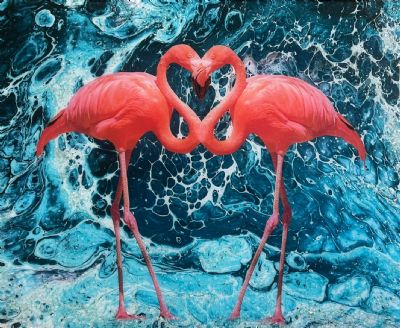 The Flamingos' Amore