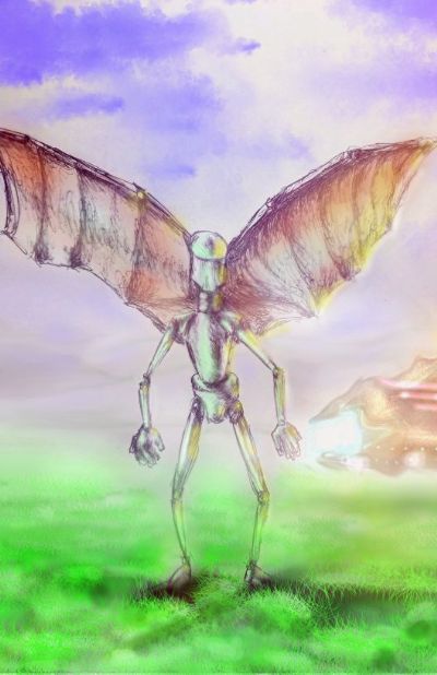 Winged Robot