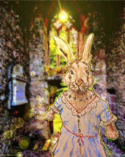 Rabbit at Castle