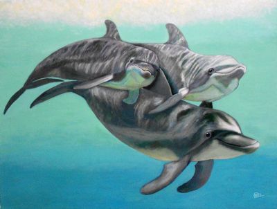 Dolphin Trio I