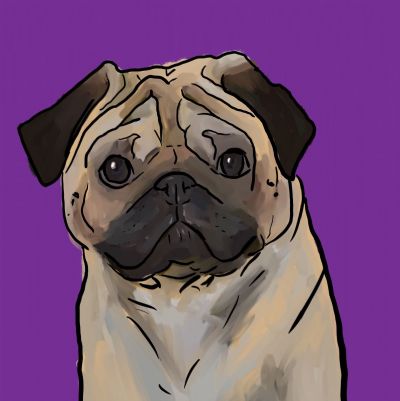 PUG 