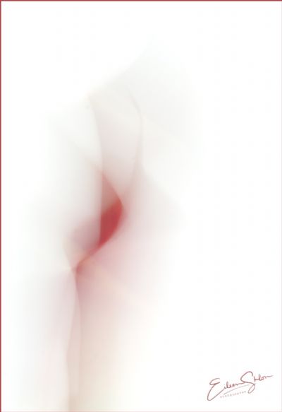 Calla Abstract 2