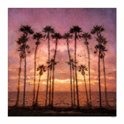 Palm Trees 12x12 rag