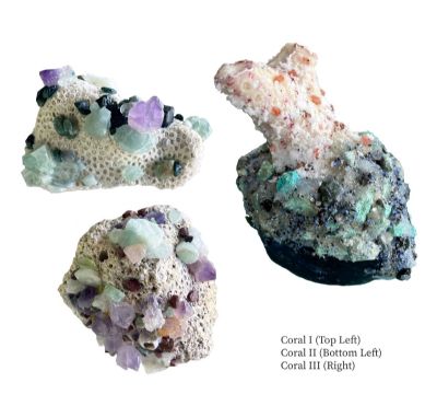 Corals I, II, & III