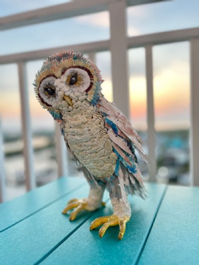 Barred owl