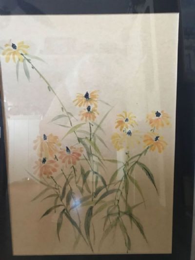 Dorothy's Black Eyed Susans