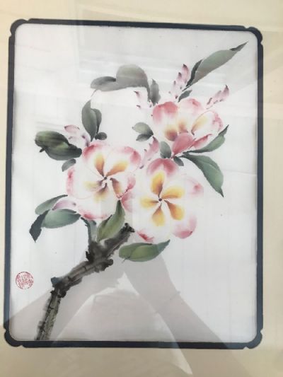 Frangipani