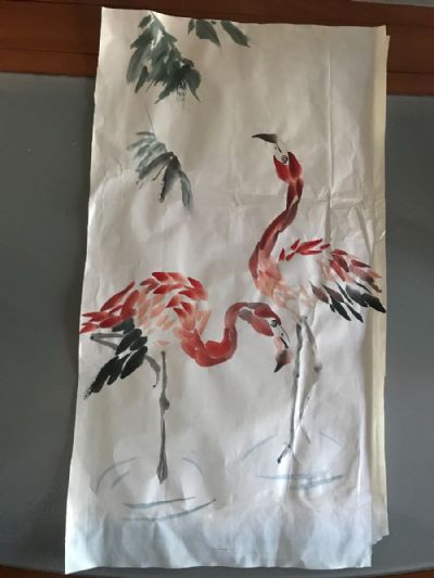 Flamingos