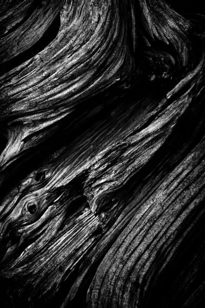 Weathered Wood I