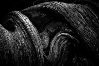 Weathered Wood II