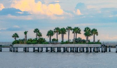 Green at the Pier