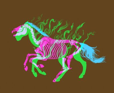 Ghost Horse of Celery Ave